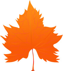 Yellow leaf icon or symbol in flat style.