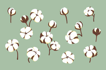 Vector set of illustrations of flowers and cotton branches isolated on green background