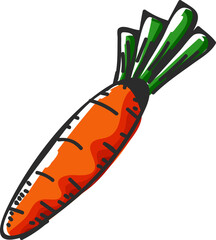 Vector illustration of orange carrot.