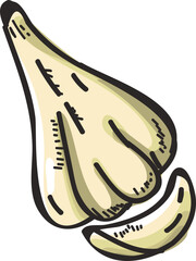 Doodle illustration Garlic Element.