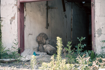 abandoned children's toy in a lost and destroyed Ukrainian city during the war