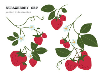 Isolated set of hand drawn strawberry. Vector Floral print. Sketch fresh juicy berries with leaves and flowers. fruit print .Vector cartoon minimalistic style  illustration. Doodle seamless pattern