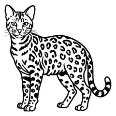 Cat, Bengal cat, portrait, black, vector, illustration
