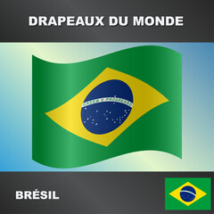 Drapeau ondulé par le vent du brésil