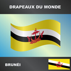 Drapeau ondulé par le vent de Brunei