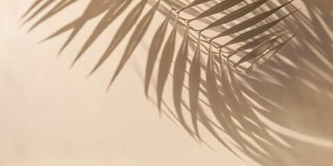 Obraz premium Palm Leaf Shadow on a Beige Wall