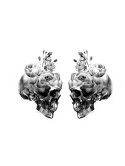 mixed skull prints with flowers 
