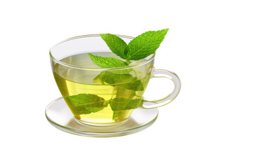 Tranquil Elixir: A Cup of Green Tea With Fresh Mint Leaves on White or PNG Transparent Background.