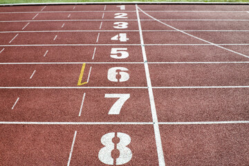 Pola startowe bieżni lekkoatletycznej. Sport to zdrowie, bieganie. 