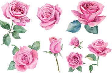 Pink roses flower painting, Watercolor pink roses graphic, Pink roses flower clipart, Watercolor pink roses decor, Pink roses flower artwork