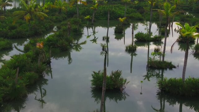 Backwater view kuttanad kerala, alleppey alappuzha,Beautiful backwater regions of Kerala, India.