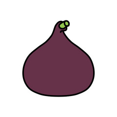 flat fig illustration