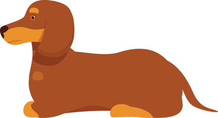 Brown dachshund dog lying down on the ground, side view of a cute pet