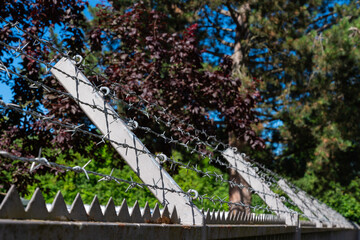 A barbed wire fence with razor wire topping the fence, in front of lush green foliage and a blue...
