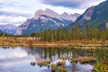 Vermilion Lakes autumn foliage scenery in dusk. Banff National Park, Canadian Rockies, Alberta, Canada. Colorful trees in red, yellow, golden colors. Mount Rundle, Sulphur Mountain in background.