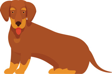 Happy brown dachshund dog with its tongue out sitting