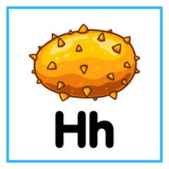 fresh horned melon alphabet h illustration