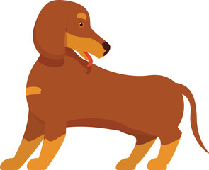 Illustration of a brown dachshund dog standing with its tongue out, looking to the side