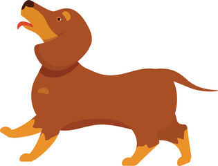 Cartoon brown dachshund walking with tongue out and happy face, isolated on white background