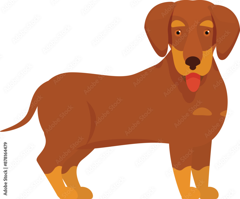 Canvas Prints Cartoon brown dachshund dog standing on white background