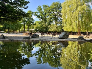Zoo