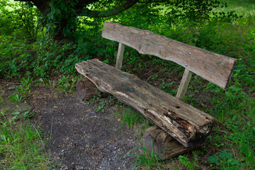 Fototapeta premium A weathered wooden bench sits under a leafy tree in a grassy clearing.