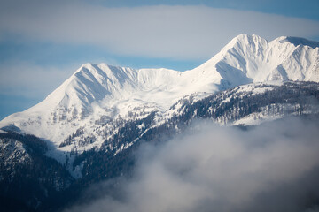 Schneebedeckte Berggipfel mit Nadelw&auml;ldern an den Bergh&auml;ngen in S&uuml;dtirol