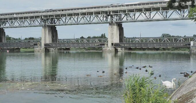 Les eaux du Rhin autour du barrage de M&auml;rkt depuis la berge Allemande, refuge en hivers d'oiseaux aquatiques, canards, cygnes, mouettes et cormorans
