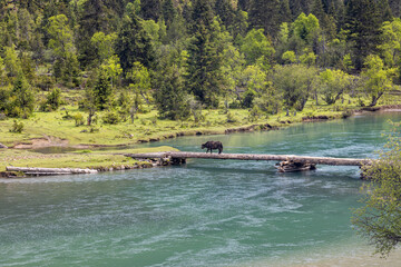 Fototapeta premium Natural Scenery of Basum Tso in Tibet