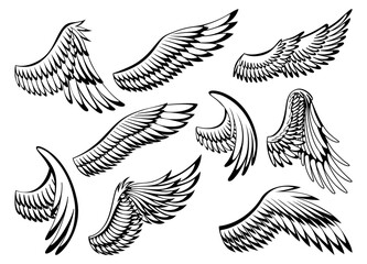 Wings sketch collection. Stylized birds wings. Hand drawn contoured stiker wing in open position. Vector design elements in coloring style