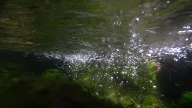 泡が渦を巻く清流の水中映像　三重県大紀町　八重谷湧水下流