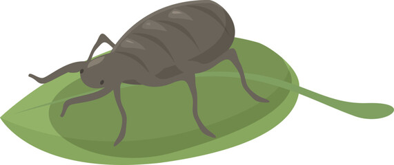 Cartoon image of a large gray beetle with splayed legs standing on top of a bright green leaf