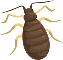 Brown bed bug on a clean background, showing its antennae and legs