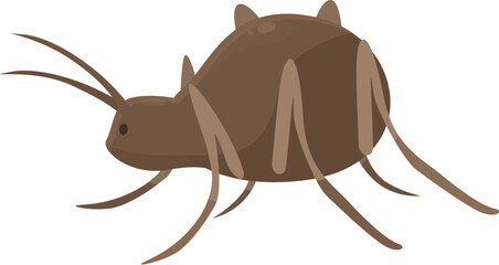 Brown beetle with long legs is crawling on a white background