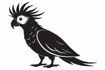 Unique cockatoo silhouette bird vector silhouette