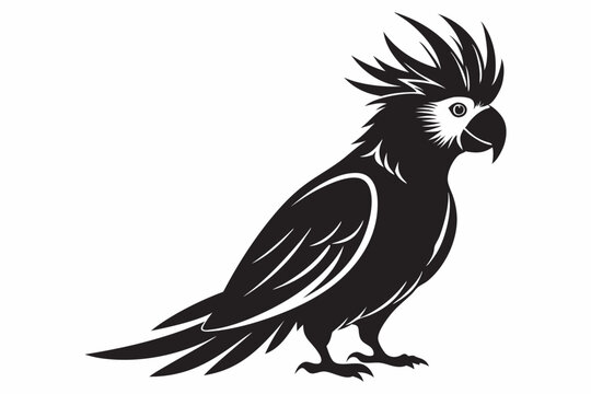 recommend clip art: cockatoo silhouette vector art illustration white