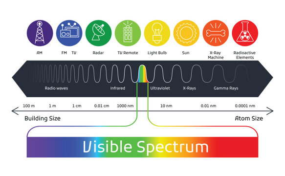 Spectrum wavelength. Visible spectrum color range. Educational physics light line. Wavelengths of the visible part of the spectrum for human eyes