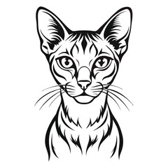 Obraz premium Abyssinian Cat Image vector isolated on white background