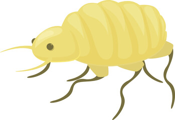 Yellow wireworm larva with segmented body and six legs crawling