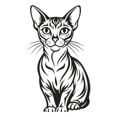 Obraz premium Abyssinian Cat Image vector isolated on white background