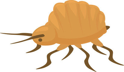 Flea insect crawling with its little legs