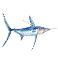 Shark watercolor illustration isolated on transparent. Sea png file for art work.