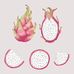 Clip art dragon fruits, pitaya elements. Hand drawn icon illustration in watercolor style for summer romantic clipart, sticker design, tropical fruit art