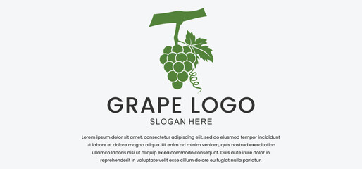 The grape vector logo is suitable for fruit shops and farms with a modern minimalist style