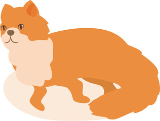 Illustration of a ginger cat standing on a round rug