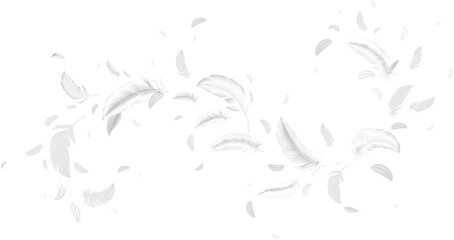 Falling Feathers © klyaksun