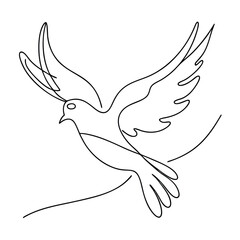 Fototapeta premium a dove, line art vector illustration isolated on a white background
