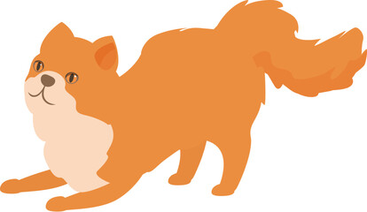 Red cat stretching its body on an isolated white background