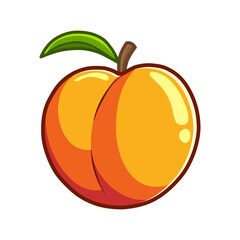 fresh nectarine illustration