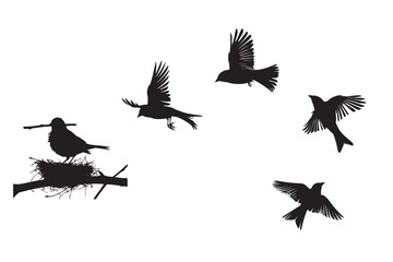 Set of silhouettes of sparrow birds flying and in nest vector